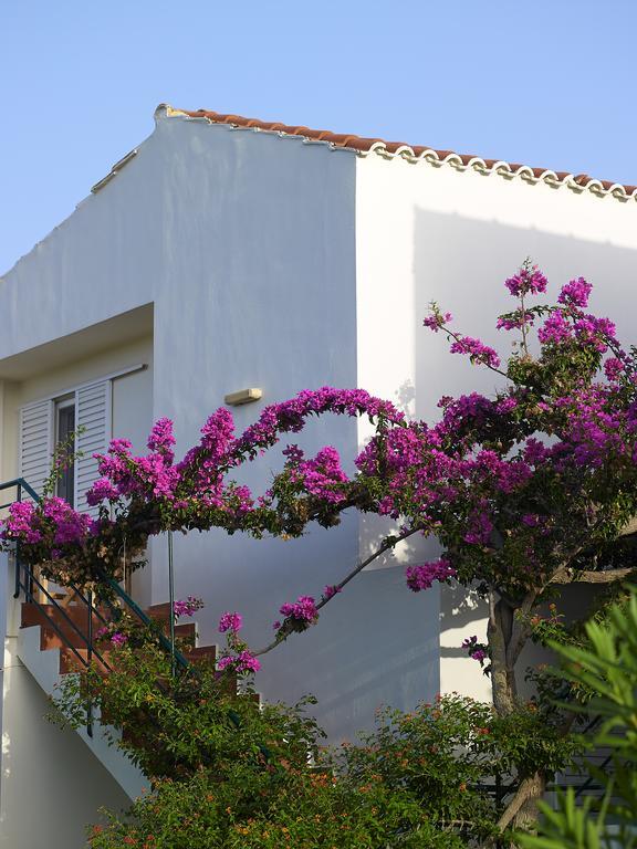 קיסאמוס Mousses Apartments & Studios חדר תמונה